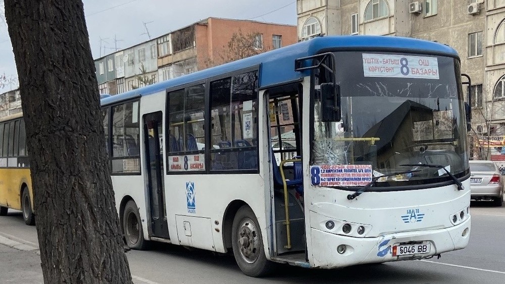 Иллюстративное фото