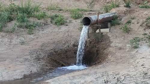 поливная вода