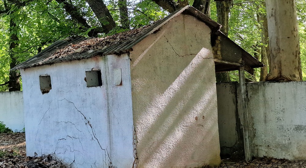 Иллюстрациялык сүрөт