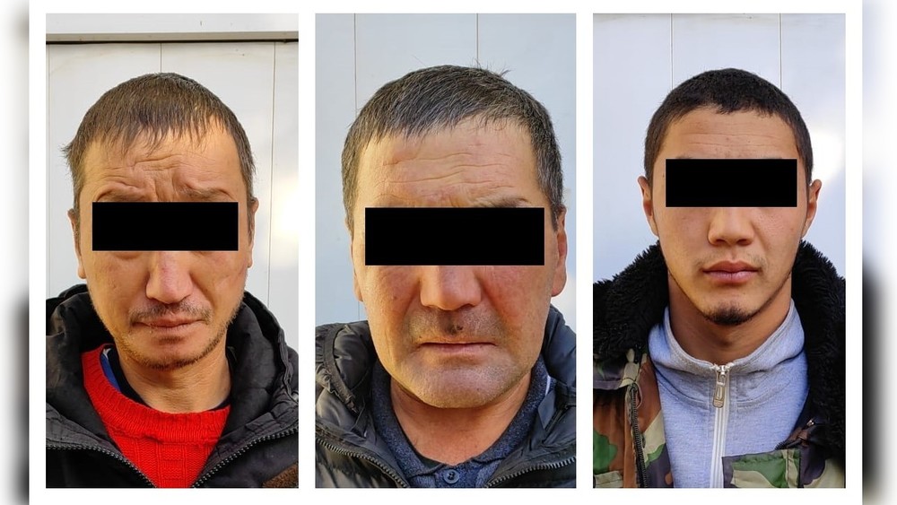 Подозреваемые