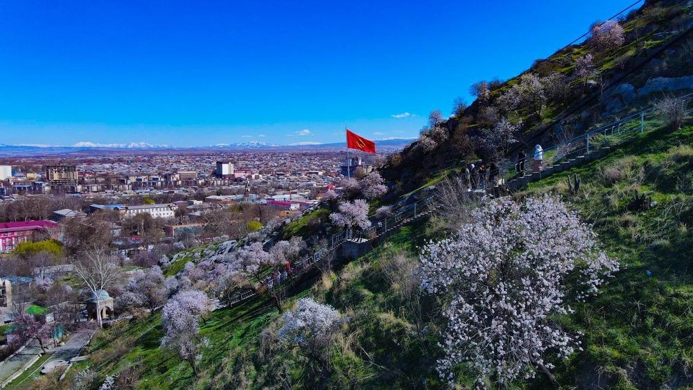 фото Белека Мусаева
