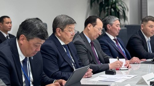 кыргызско-американский бизнес