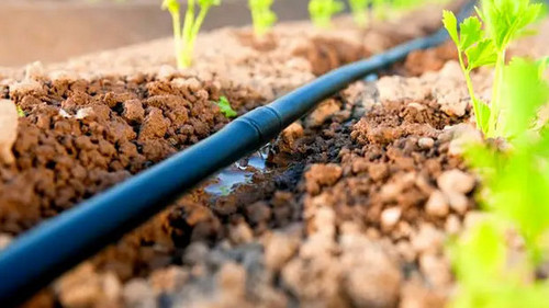 ноокенский район