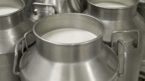 молочная отрасль