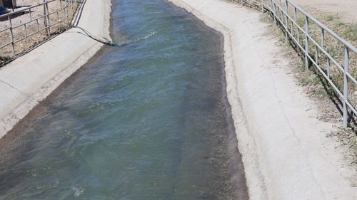 китайский грант