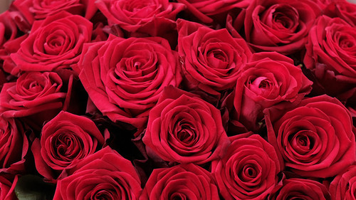 цветочный импорт