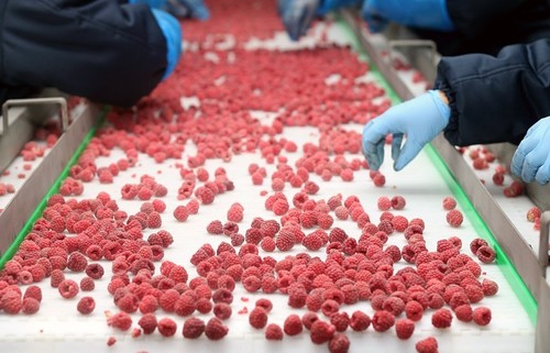 ЭКО Оператор