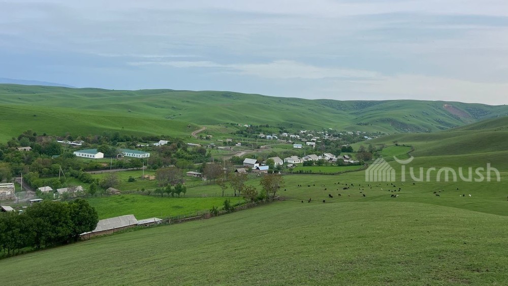 Село Шатырак