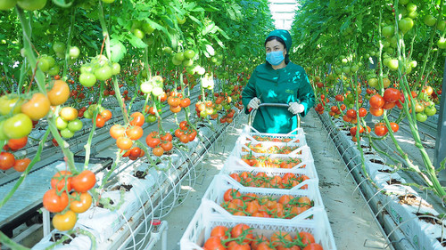 туркменистан