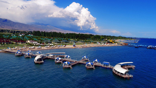 Популярные Направления