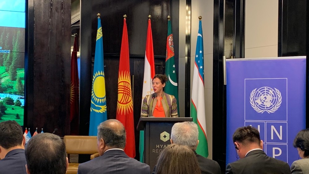 Постоянный координатор системы ООН Антье Граве