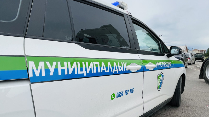 Иллюстративное фото