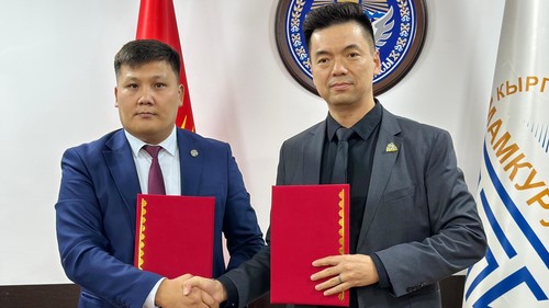 зарубежные снипы