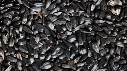 экспорт подсолнечника