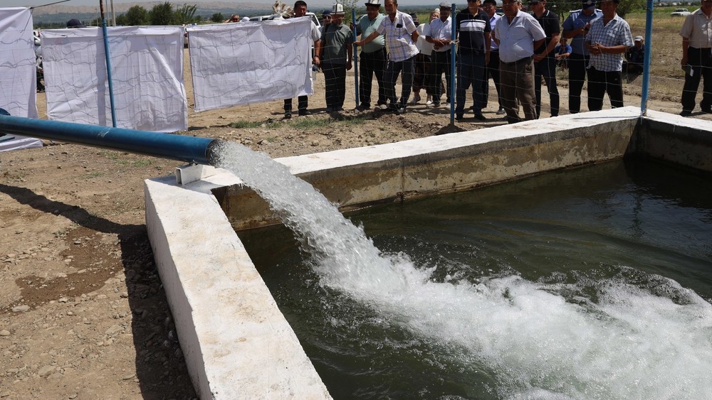 Иллюстративное фото