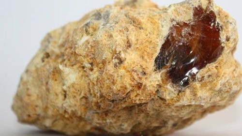 фармацевтическая промышленность