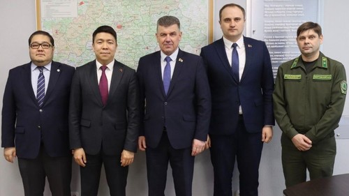 Импорт Леса