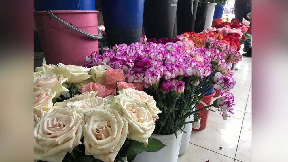 Иллюстративное фото