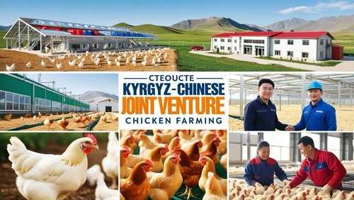 куриное мясо