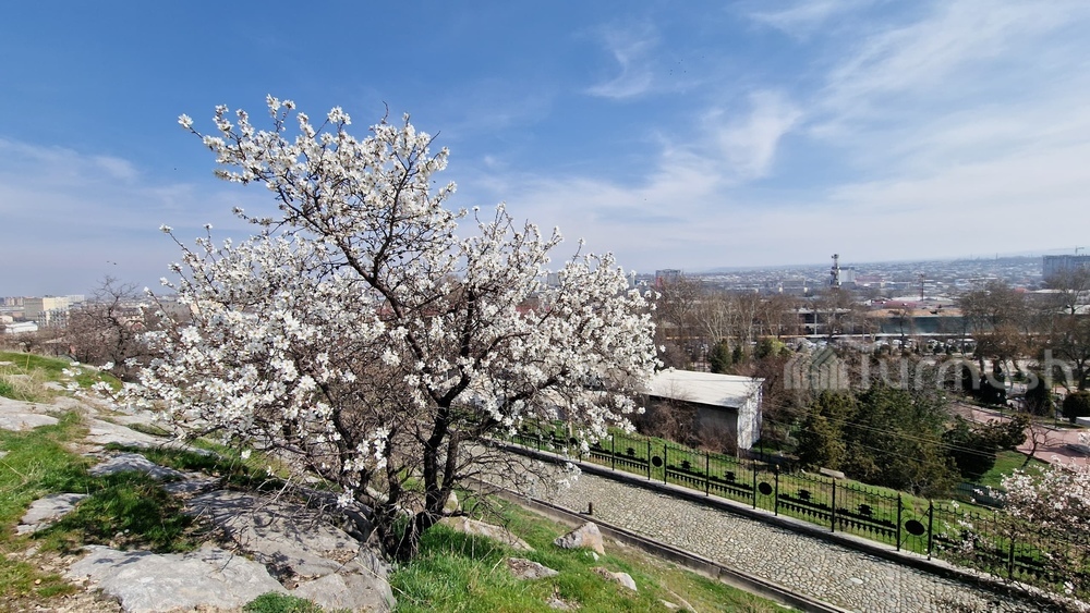 город Ош
