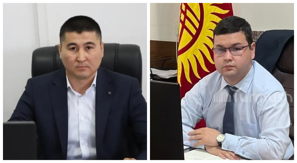 Данис Тынганбеков и Эмир Молдакунов