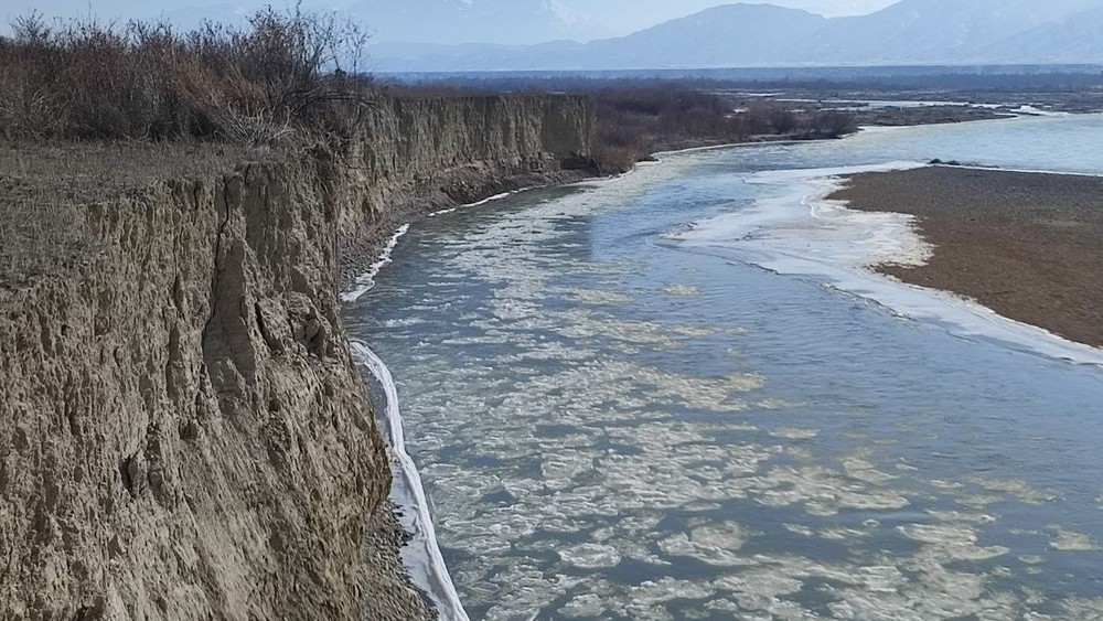 Нарын дарыясы