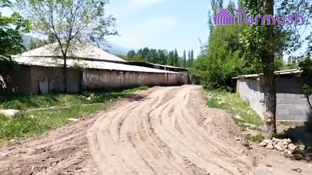 Иллюстрациялык сүрөт