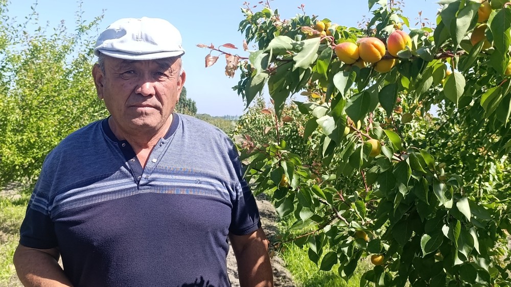 Толубай Жалилов
