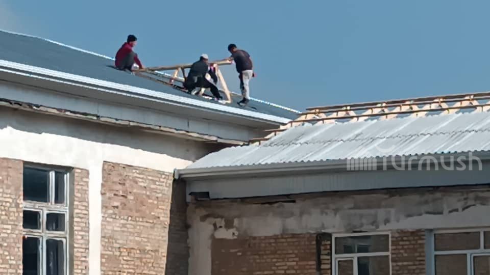 Иллюстративное фото