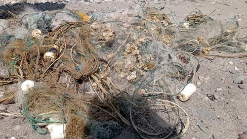 В Кемпир-Абадском водохранилище задержали мужчину с сазаном и рыболовными сетями (видео) — Экология АКИpress
