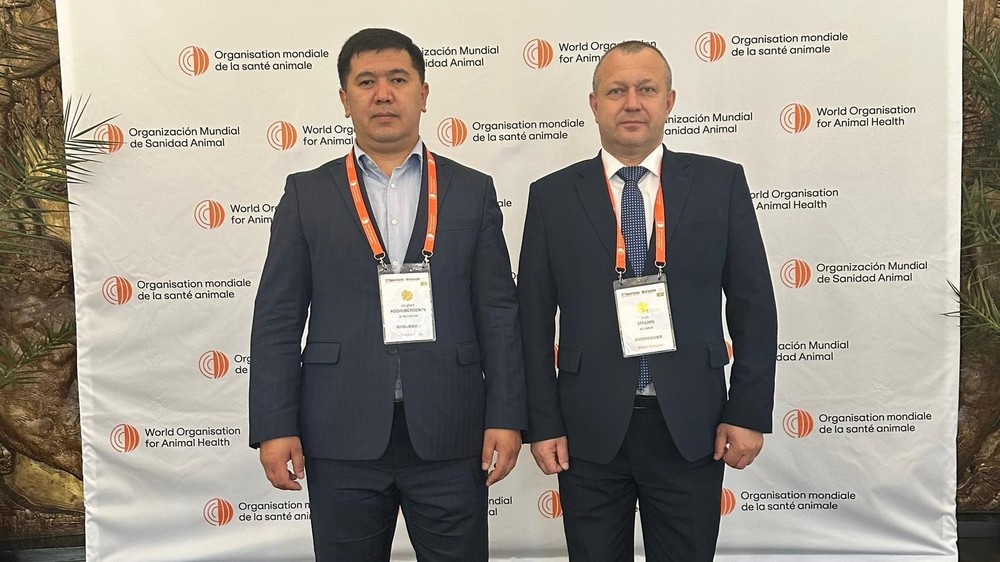 Улугбек Кожобергенов, Иван Смильгин