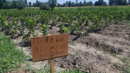 Исламские Принципы