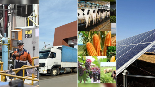 вектор развития