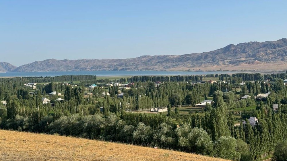 Тамчы-Булак айылы