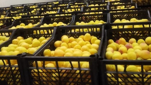 китайский рынок