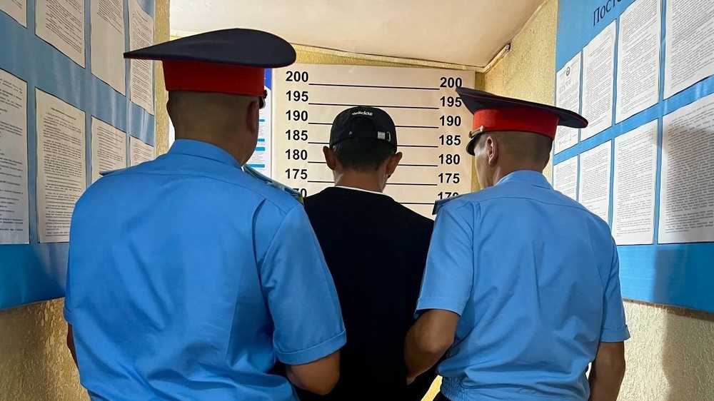 Иллюстрациялык сүрөт
