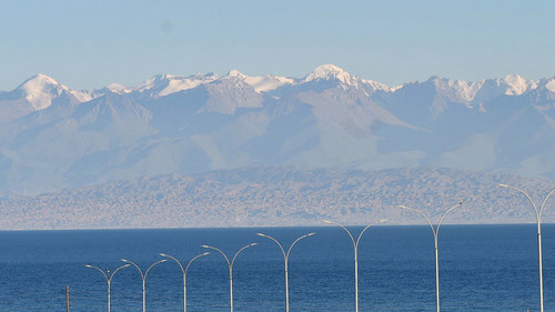 оргкомитет