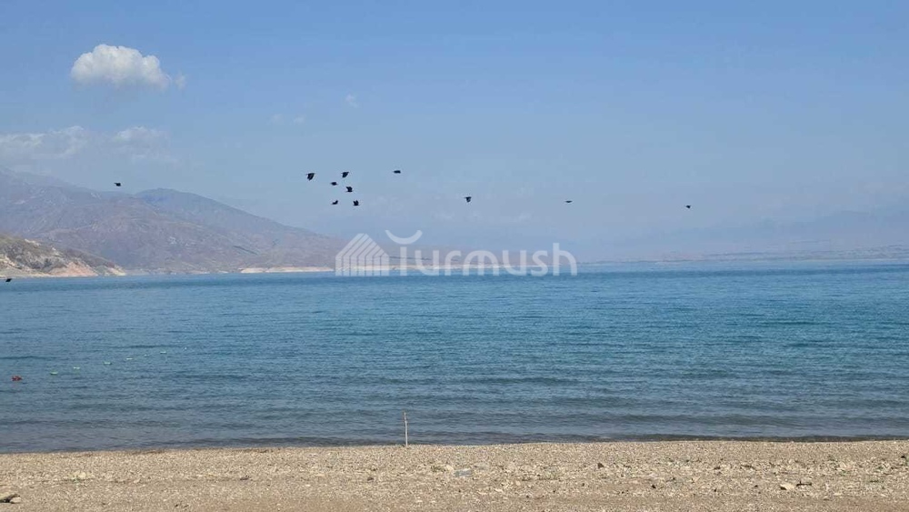 Иллюстративное фото