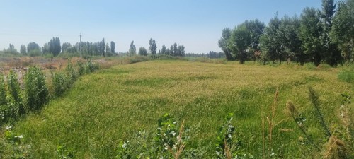 сельхозземли