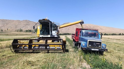 сельхозпроизводство