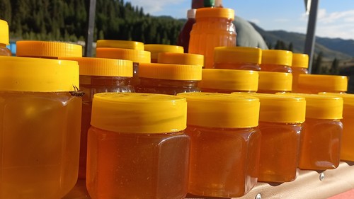 экспорт меда