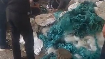 В Оше уничтожили рыболовные сети весом 800 кг — Экология АКИpress