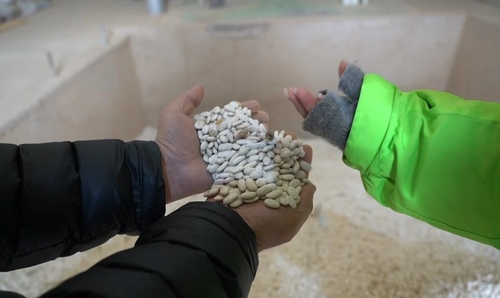 таласская область