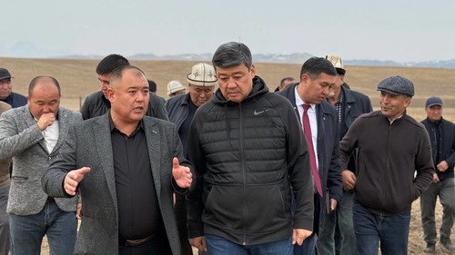 посевные работы