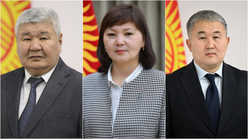 декларация 2024