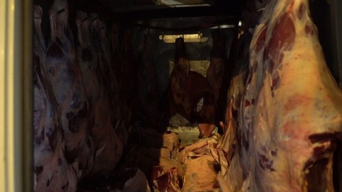 Пограничный Контроль