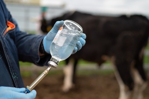 Кумар Исаков