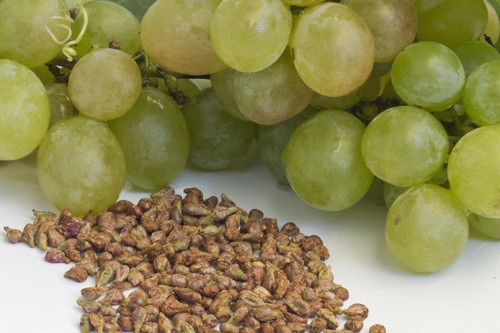 Импорт Винограда