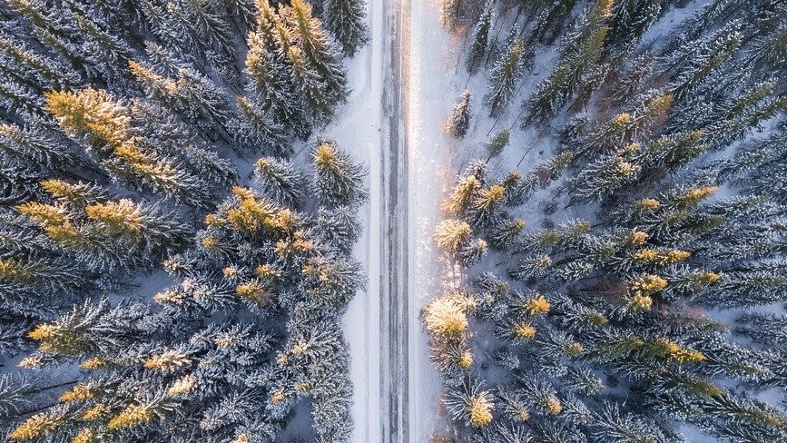 Иллюстративное фото