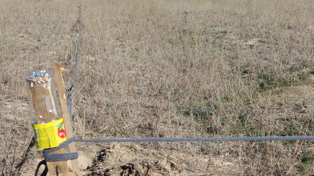 Попытка захвата земли в Калыс-Ордо